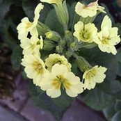 Jan Reeve's photo