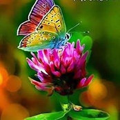 Vicki Hart's photo