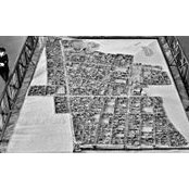 Emily Carbone's photo