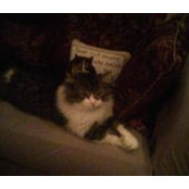 Christina Silva's photo