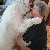 Dore Levy's photo