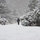webuser_92174