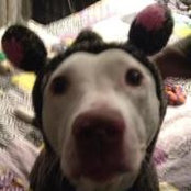 Lori Nananさんの写真