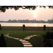 Priya Kurian's photo