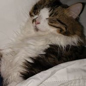 Kimmie Curtin's photo