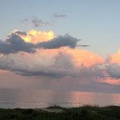 Barbara Dubensky's photo
