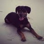 Jessica Wolinsky's photo