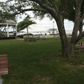 Deanna Lambert Murphy's photo