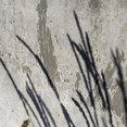 Chris Corbett Design's profile photo