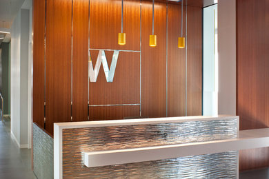 Home design - contemporary home design idea in Boston