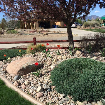 Garden, Rock, and Concrete Edging