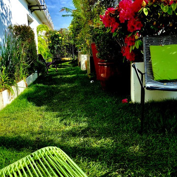 vegetalisation toit terrasse paris 16