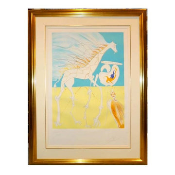 Salvador Dali Re-Framing Project