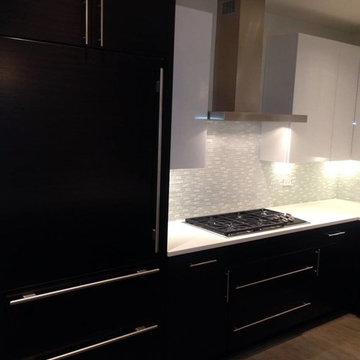 Contemporary Kitchens & Baths