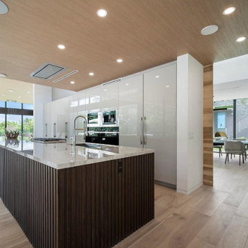 Wow Wall and Floor For This Kitchen Renovation in Los Angeles CA