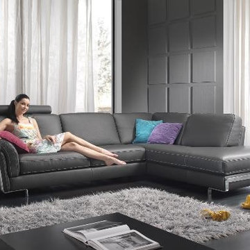 Sectional Sofa & Sofa Set