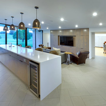 Black and Tan House