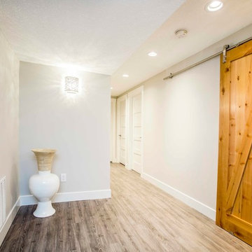 Open Concept Basement Development