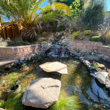 Turtle Pond with Beach and Wetland Filter