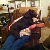 Mark Zahn's photo