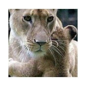 Lora Rinehart's photo
