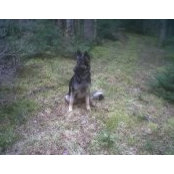Sharon Nunn-Ogilvie's photo