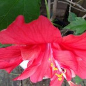 Maguy Eustache's photo