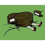 Elissa Bayersdorfer's photo