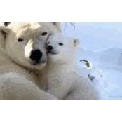 Diana Bartkowska's photo