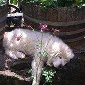 Nadine Basile's photo