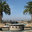 Allen Landscape Inc.
