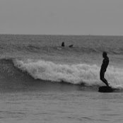 Harry Williams's photo
