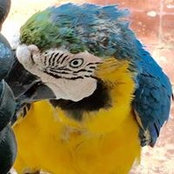 Debby Allwell's photo