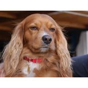 Paul Peck's photo