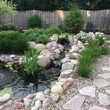 pond