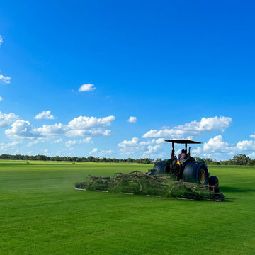 TifTuf® Bermuda grass project!