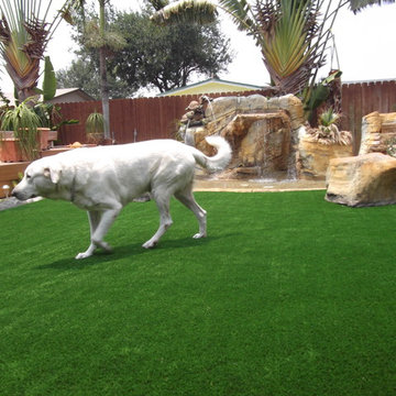 Residential Lawn
