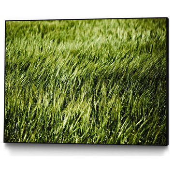 "Grass II" CF Print, 20"x16"