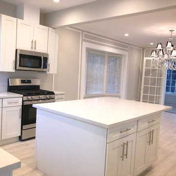 Kitchen Remodel/Renovation