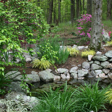 Shade Gardens