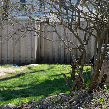 Creating a Backyard Entertainment Playground
