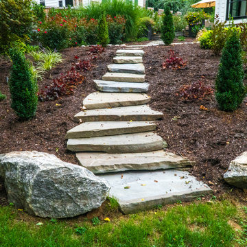 Bala Cynwyd Perfection