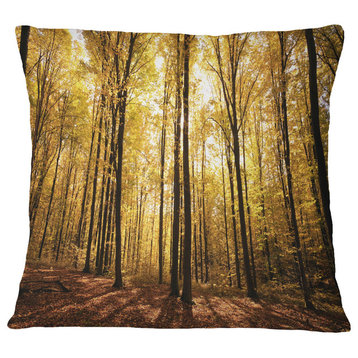 Setting Sun Over Dense Fall Forest Modern Forest Throw Pillow, 18"x18"
