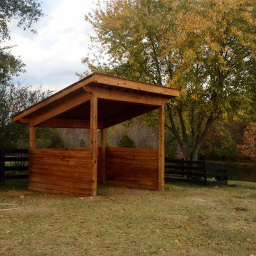 Run in Horse Shelter