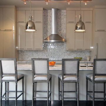 Warehouse District Contemporary Kitchen with High Gloss Cabinetry