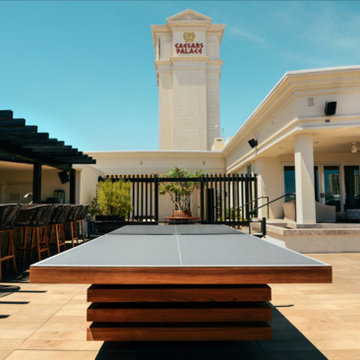 Nobu Caesar Palace Penthouse - Arclight Ping Pong Table