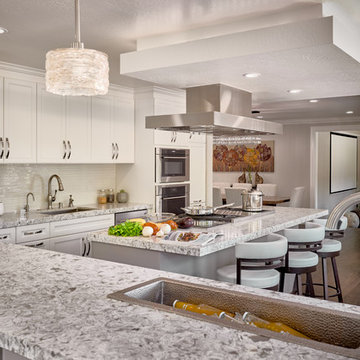Taupe and white Contemporary Kitchen
