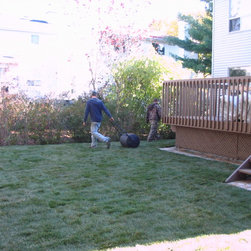 After Sod Installation - Bulbs And Seeds
