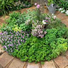 Landscape circles