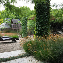 plant favorites